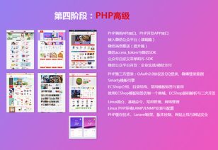 上海php網站開發 多迪教育網站建設培訓班 費用 哪個好 多少錢 教育在線