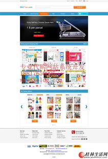 日本代購網(wǎng)站建設(shè)公司,雅虎代拍代標系統(tǒng)